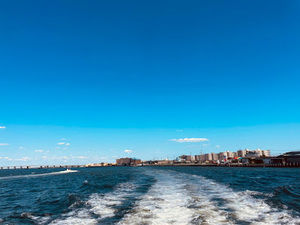 Meet your Posher, Mimi